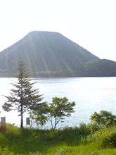 飽きずに