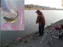 増井養魚場へ釣り見学