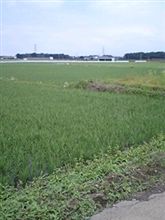最近の日課。 最近の日課。