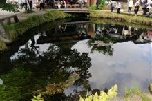 ホタル　オフ会　～忍野八海　（透けて見える編）～