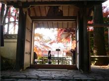 三千院の紅葉
