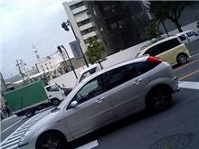 目撃…