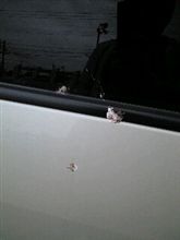 あちゃー…被爆www