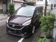 夕飯前にちょっと洗車を