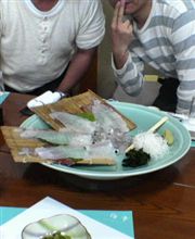 イカ刺身定食♪ イカ刺身定食♪