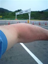 本庄の成果は・・・・・ 