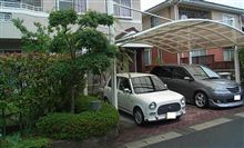 今日は、どうしよう～♪