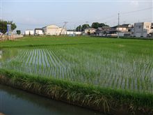 妄想に耽ってみる…（＾＾）