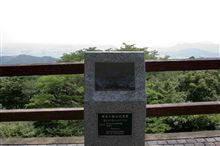 よく降りますね。紫陽花を見てきました。