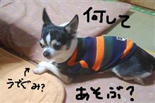 今度の日曜日は嫁ぎ先ミーティング！
