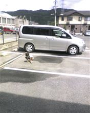 1年経ちましたが… f ￣．￣*) 