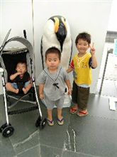 水族館 水族館