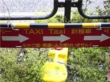 気になる～