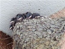和歌山に向かって出発～