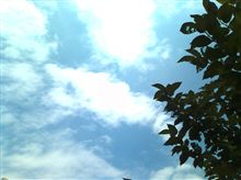 隣の芝生は青い
