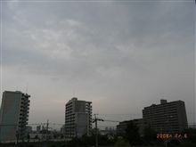 ゴロゴロ言ってるけど・・・