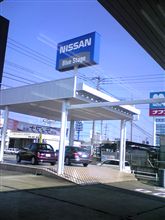 やってきました