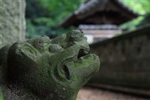 これなぁ～んだ？
