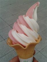 続ソフトの旅・・・ならず