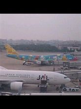 ポケモンジェット に乗って・・・ ポケモンジェット に乗って・・・