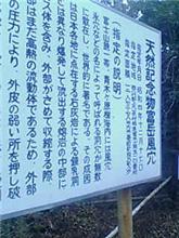 今年の走り納め。