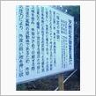今年の走り納め。