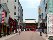 今年最高！