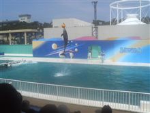 １日目、鴨川シーワールド