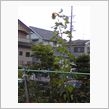 ２．５化・・・高いなァｗ