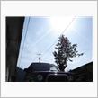 こうも天気がイイと・・・