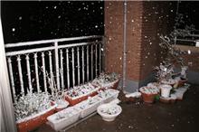 いきなり雪＼(◎o◎)／！