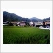 療養の為・・・