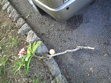 接待～ちゅら海