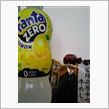 買ってみた