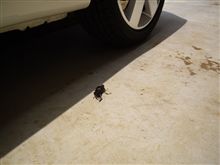エアコンクサイ