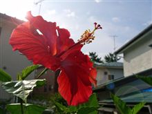 3連休初日！