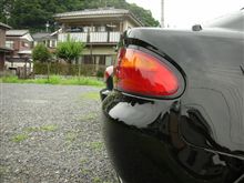 萱と薄と胡桃の木