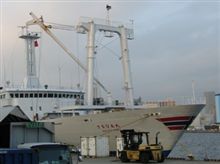 毎年恒例、東京湾納涼船レースクイーンナイト！