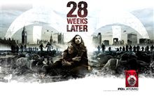 ２８週後...