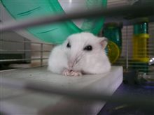 定位置♪ 定位置♪