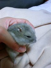 それは…一年前の事でした。