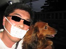 犬の散歩は酔っ払いドライブで