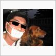 犬の散歩は酔っ払いドライブで