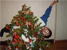 クリスマスツリー♪