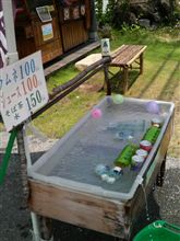 本日の…