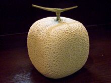 四角いメロン。 四角いメロン。