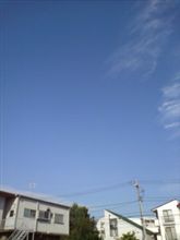 猛暑の予感