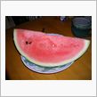 夏バテか・・・。