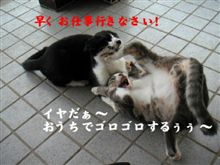 さて・・・