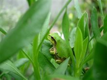 物思いにふける